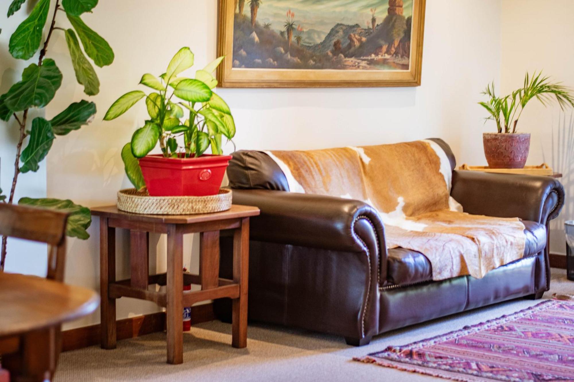 5 Seasons Guest House Stellenbosch Extérieur photo